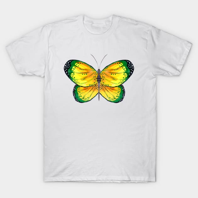 Green butterfly shirt clearance